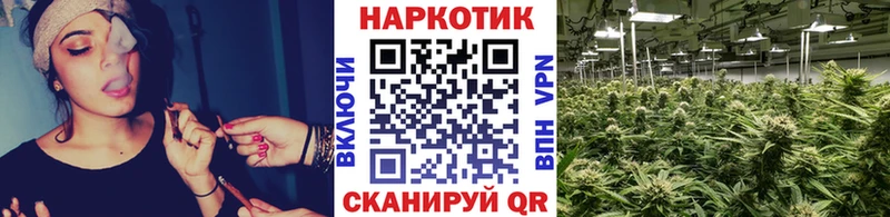 Где купить Гатчина Канабис  Амфетамин  КОКАИН  ГАШ  Меф 