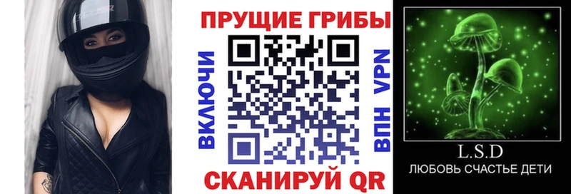 купить наркотик  Гатчина  Галлюциногенные грибы ЛСД 