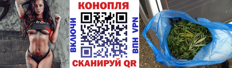 купить наркоту  Гатчина  Шишки марихуана Ganja 